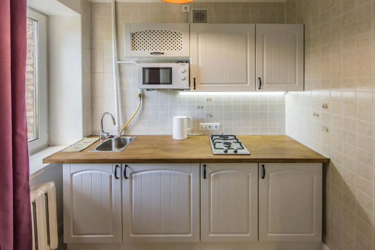 Kyiv Quiet Loft Apartment