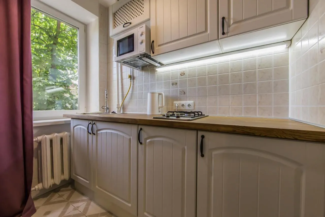 Kyiv Quiet Loft Apartment